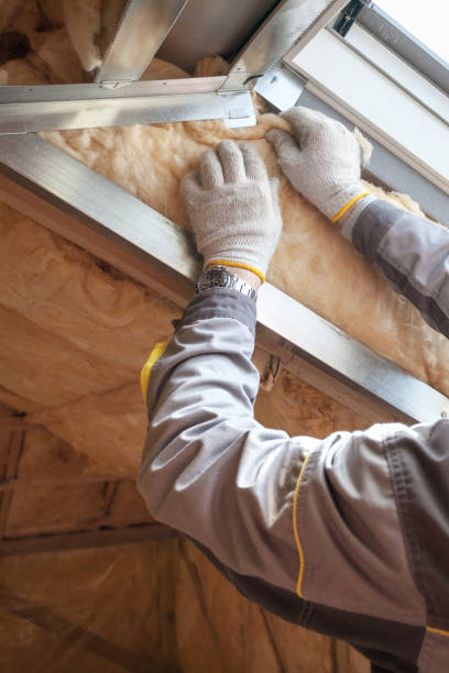 Best Eco-Friendly Insulation in Wayne, OH